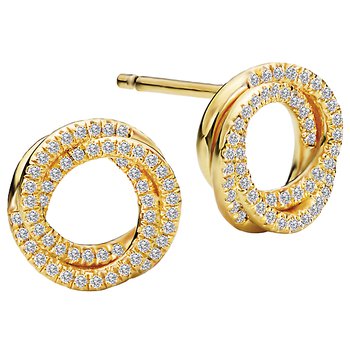 Ladies Fashion Earrings