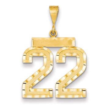 14k Large Brushed Diamond-cut Number 22 Charm
