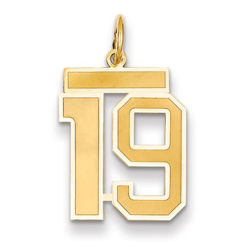 14k Medium Satin Number 19 Charm