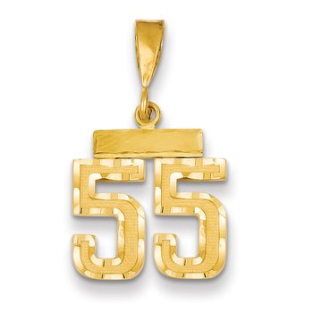 14k Small Brushed Diamond-cut Number 55 Charm