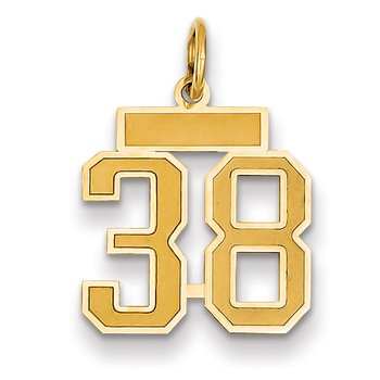 14k Small Satin Number 38 Charm