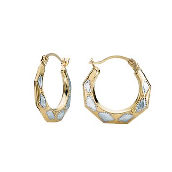 Ladies Fashion Hoop Earrings