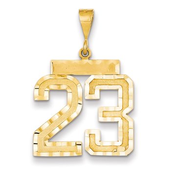 14k Large Brushed Diamond-cut Number 23 Charm