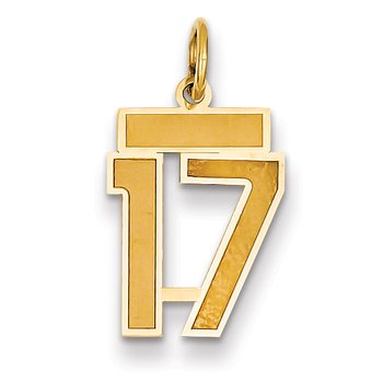 14k Small Satin Number 17 Charm