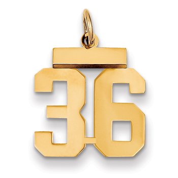14k Small Polished Number 36 Charm