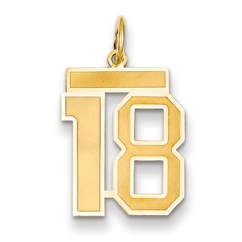 14k Medium Satin Number 18 Charm