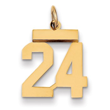 14k Small Polished Number 24 Charm