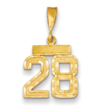 14k Small Brushed Diamond-cut Number 28 Charm