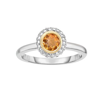 18K & Sterling Silver Polished Birthstone Size-7 Ring