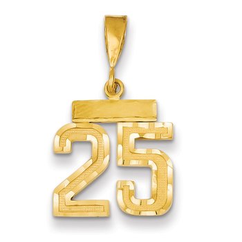 14k Small Brushed Diamond-cut Number 25 Charm