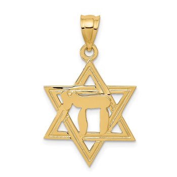 14k Solid Polish Chai in Star of David Charm