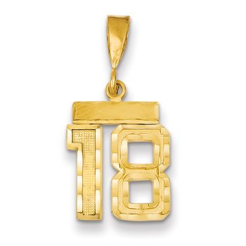 14k Small Brushed Diamond-cut Number 18 Charm