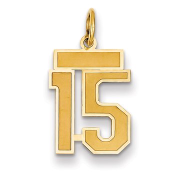 14k Small Satin Number 15 Charm