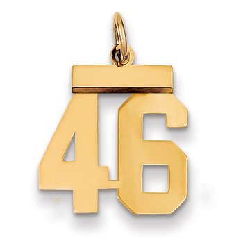 14k Small Polished Number 46 Charm