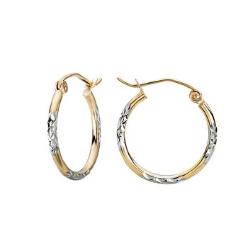 Ladies Fashion Hoop Earrings